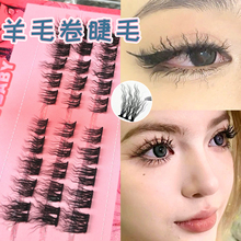 The new wind of eyelashes! Wool curled eyelashes, bubble face curled plush, curved and segmented, European and American seductive false eyelashes