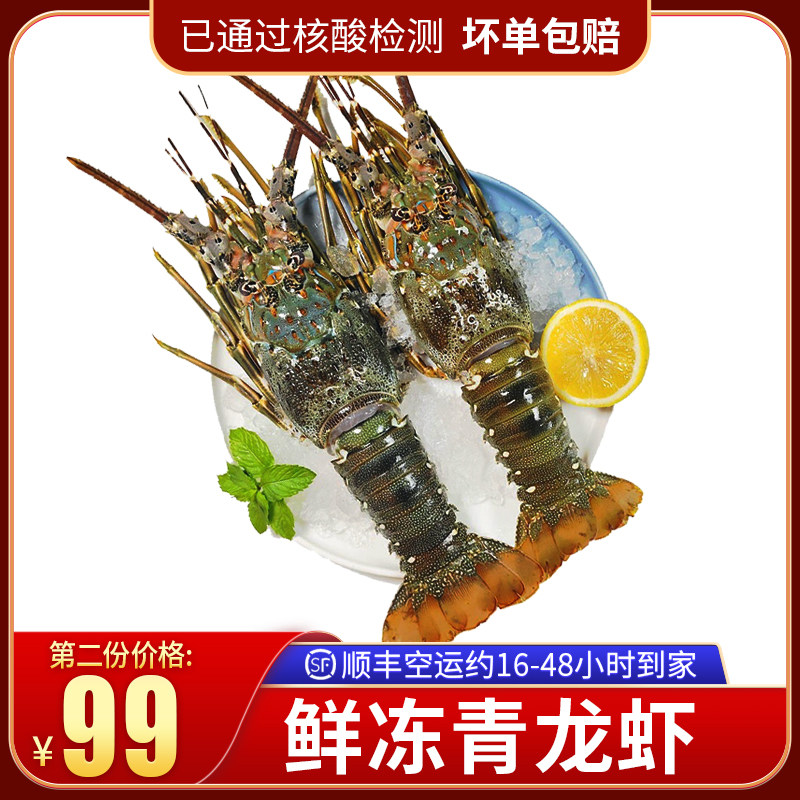 Big Lobster Seafood Little Green Lobster Fresh Frozen Fresh Australian Dragon Australian Big Lobster Boston Lobster 500g