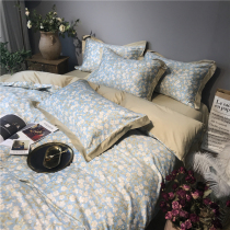 60 long-staple cotton American bed four-piece cotton cotton pastoral style hipster simple European and American style bedding