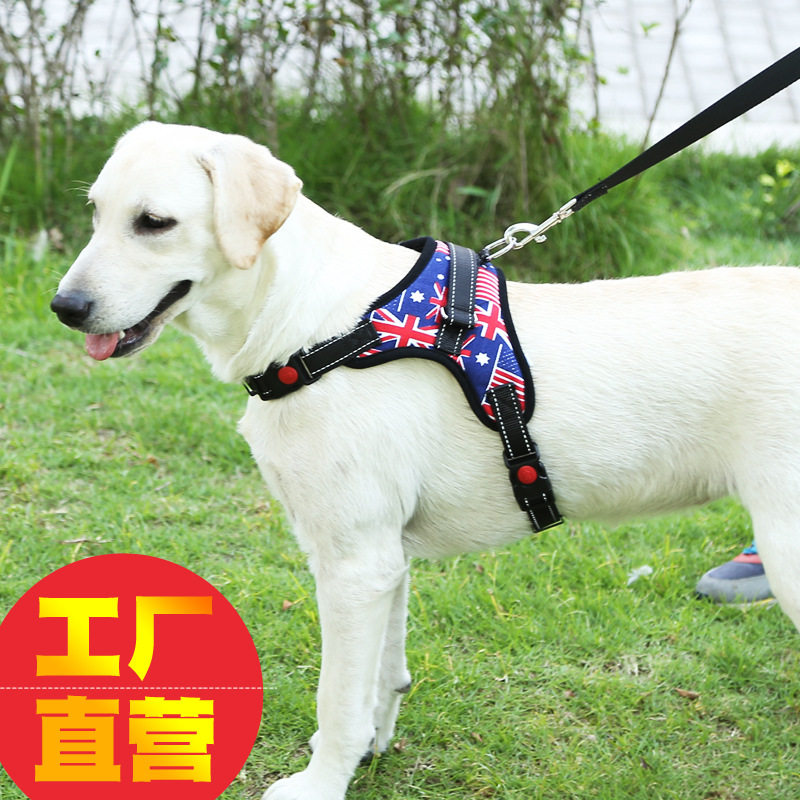 Pooch Vest Style Traction Rope Dog Chest Holding Baby Bag Small Medium Dog Dog Rope Teddy Dog Chain Pet Supplies