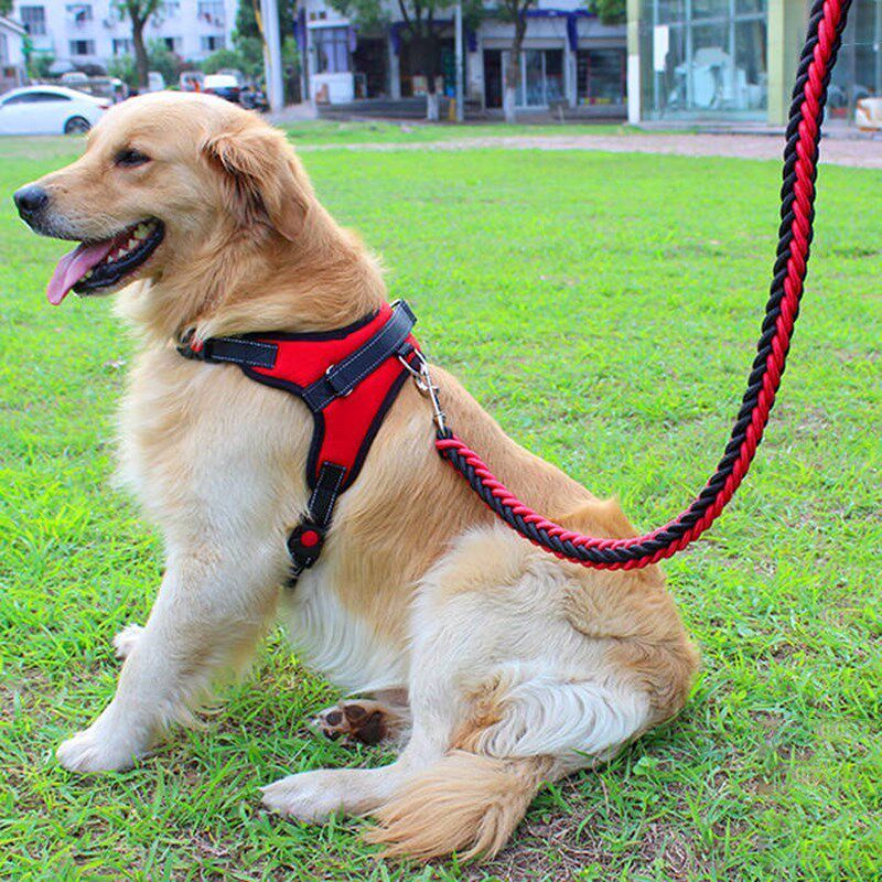 Dog traction rope Large Medium Little Dog Breast Cuddling Bag Labrador Sammoyer Gold Wool Dog Necklace supplies