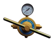 Oxygen nitrogen reducer low pressure YQY-11 YQD-11 YQQ-11 YQJ11 single-stage single-head pressure gauge