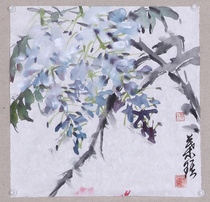 Chinese painting flower bird wisteria ink painting original one square foot