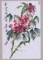 Freehand Flower and Bird Peony Flower Academy of Art Students Chinese Painting Painting Flower and Bird Works Red Peony Chinese Painting