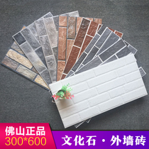 Villa garden exterior wall tiles outdoor courtyard yard wall tiles anti-freeze sunscreen living room background wall tiles cultural tiles