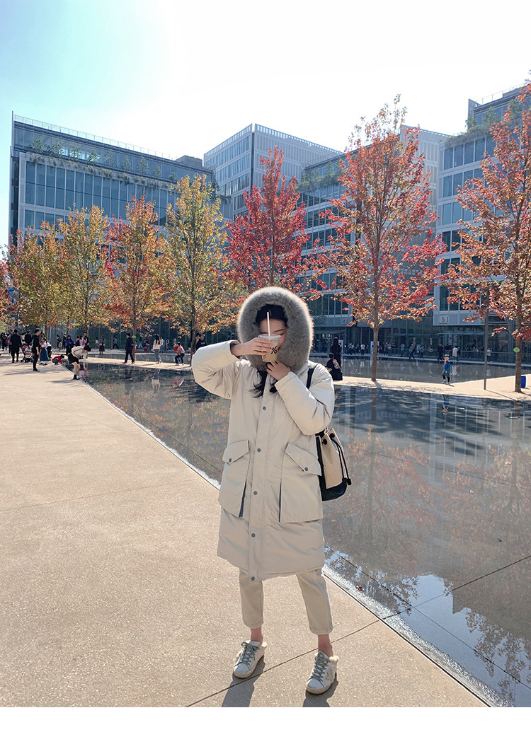 2020-10-31 132446.jpg