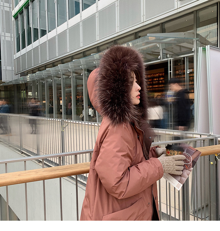 2020-11-02 225938.jpg