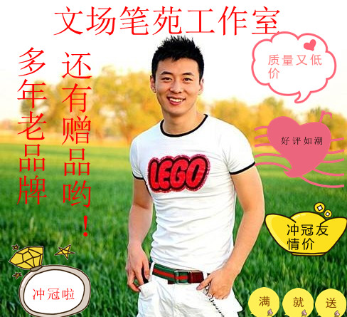 Writing an online novel outline Ghostwriting emotional stories Brand stories Promotional essays Short film scripts