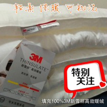 Quilt Core Padded 3M New Snowy High Efficiency Warm Suede All Season Thin Spring Autumn Winter Quilt thickened All cotton anti-mite moisture-resistant machine washable