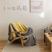 Soft Warm Blanket Vegetarian color minimalist Thickened Milk Suede Blanket Multifunction Bilayer Cover Blanket BLANKET SUEDE BED LINEN
