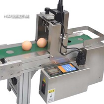 Single Nozzle Egg Inkjet Printer Egg Coding Machine Egg Whole Tray Single Inkjet Automatic Inkjet Printer Egg Spray