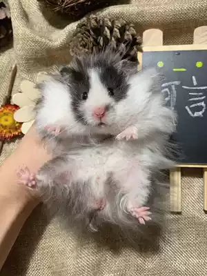 Make up the new price difference hyperlink