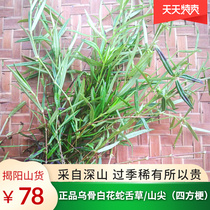 Fresh and Natural White Flower Mountain Hedyotis White Flower Snake Grass Hedyotis Mountain Snake Grass 500g