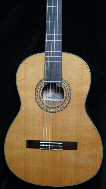 Modern Musical Instrument New La Leona Children's and Adult Beginner Performance Single-Board Rosewood Classical Guitar Set in Stock