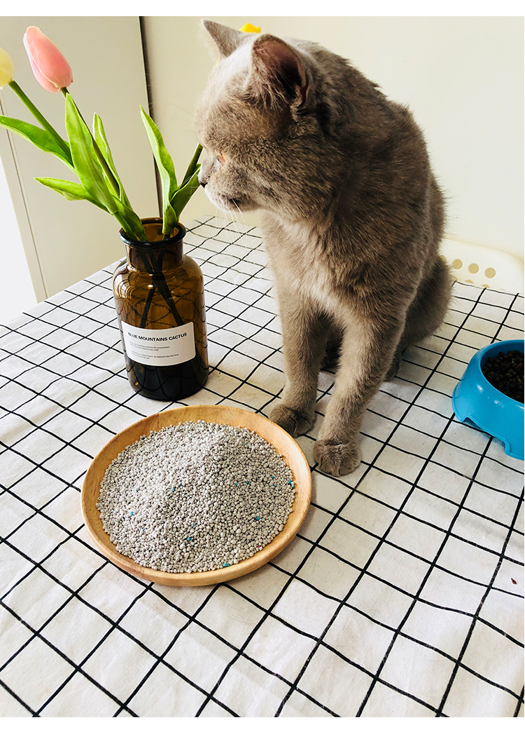 Jie Shi than hoạt tính mèo xả rác 10 kg kết tụ kháng khuẩn khử bụi tinh thể không bụi bentonite mèo 10kg - Cat / Dog Beauty & Cleaning Supplies găng tay loại bỏ lông thú cưng