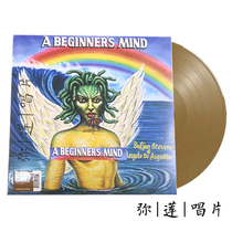 Spot) vinyl Sufjan Stevens A Beginners Mind Gold glue LP record
