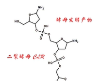 Two-cleft yeast extract CLR two-cleft yeast fermentation products skin care raw materials