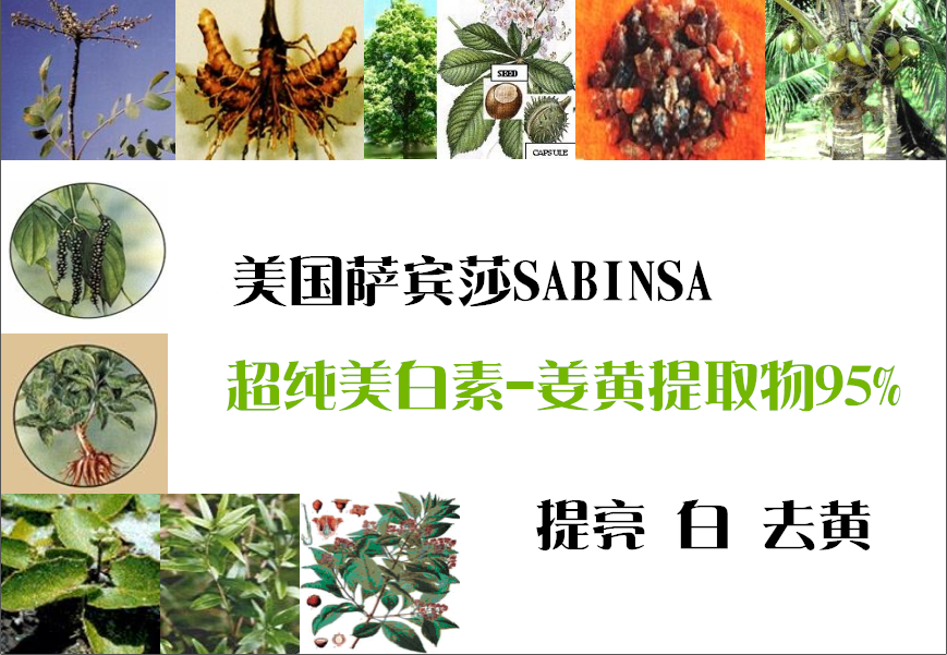 95% turmeric extract with bright complexion white skincare raw material