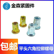 Flat head hexagonal pull riveting nut half hexagonal riveting nut pull cap M4M5M6M8M10M12 galvanized rivet riveted