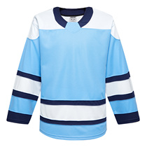EALER Ice Hockey Jersey Professional Training Wear Supports Customized Number LOGO Ice Hockey Jersey Children Adults