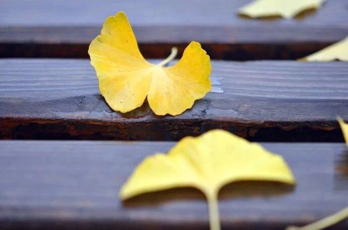 Make up the difference Make up the difference Make up the difference