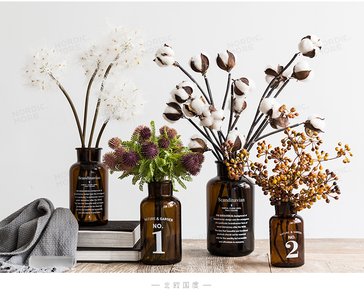 Các nước Bắc Âu Davide dược loạt bình thủy tinh nhỏ - mô hình gồm chữ và số phòng khách trang trí hoa - Trang trí nội thất dcor phòng ngủ nhỏ không giường