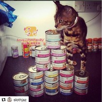 Pampering home British applaws Capers Canned Natural Snacks Canned Cat Tinned Wet Grain 156g