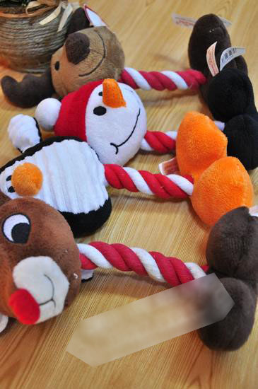 Chó đồ chơi sang trọng mol mol cắn đào tạo Teddy gấu con chó con mèo đồ chơi cung cấp vật nuôi chó nhai - Mèo / Chó Đồ chơi bóng đồ chơi cho mèo