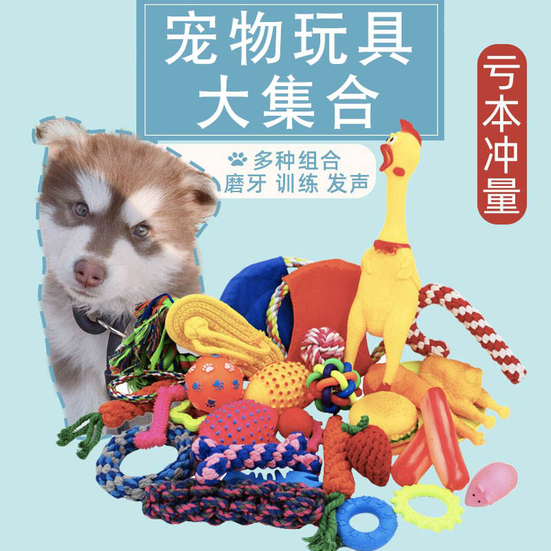 Pet Supplies Dogs Cat Training Guide Training Toy Balls Vocal plush rope knot resistant to bite young dog Puzzle Grindle