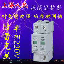 Shanghai people surge protector 2P 220v home lightning arrester arrester 20ka-40ka surge