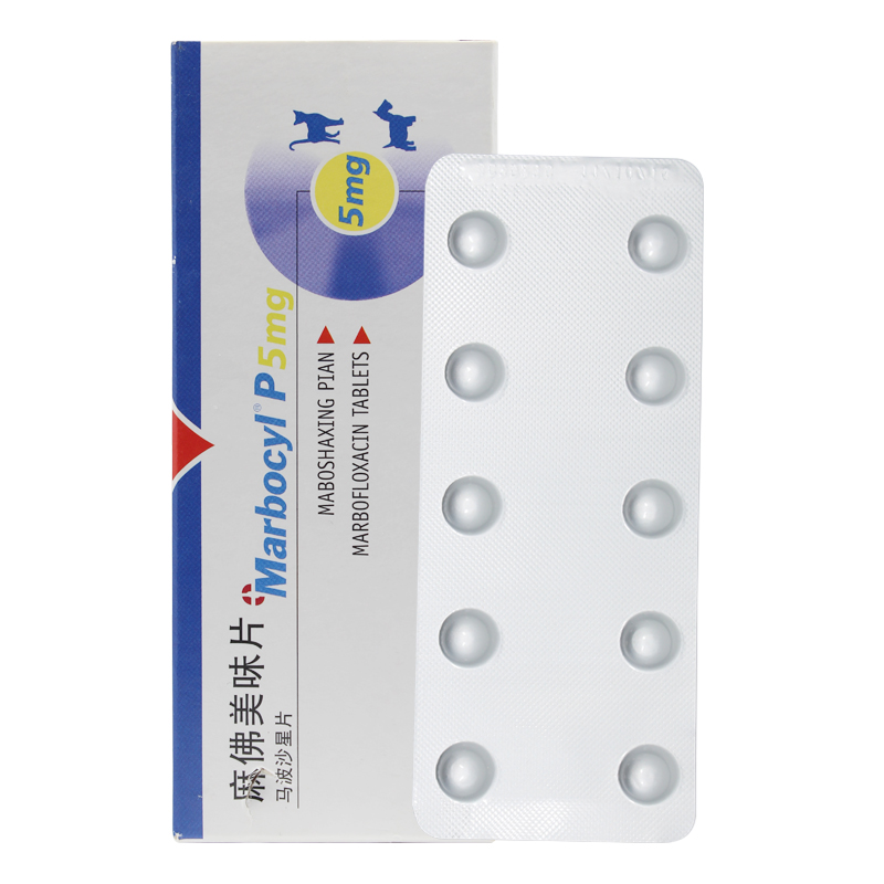Mafo viên ngon chó cưng thuốc chống viêm lạnh chó và viêm da mèo nhiễm trùng 5mg SF - Cat / Dog Medical Supplies 	bộ kim tiêm thú y