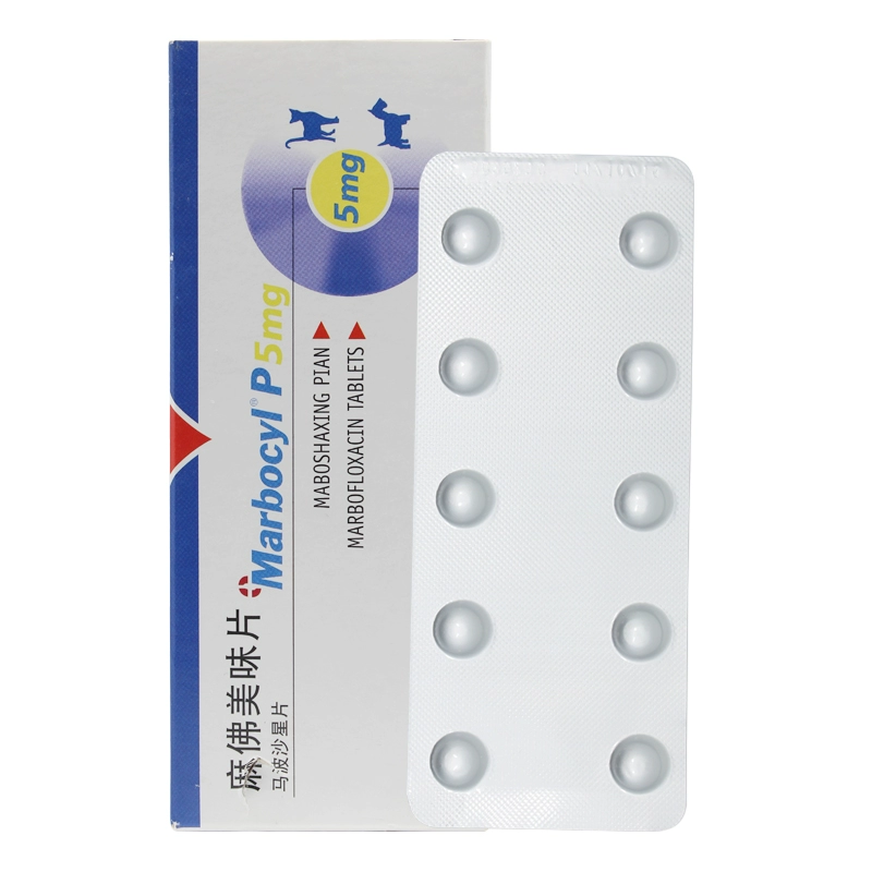 Mafo viên ngon chó cưng thuốc chống viêm lạnh chó và viêm da mèo nhiễm trùng 5mg SF - Cat / Dog Medical Supplies