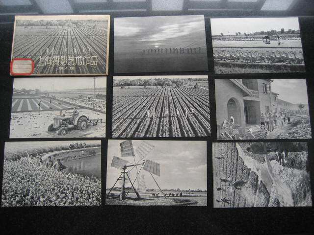 1964 Shanghai People's Fine Art Edition Shanghai Photographic Art Works 4th Postcard 8 full