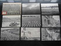 1964 Shanghai Peoples Art Edition Shanghai Photographic Works Part 4 Postcards 8 Complete
