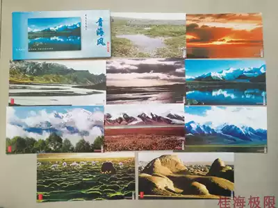 2000s postal version of Qinghai natural scenery-Sanjiangyuan postage postcard 10 all Hoh Xil
