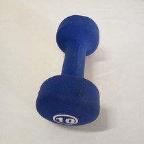 Discounted promotion 10LB Immersion Plastic Dumbbells Gum Color Dumbbells Fitness Equipment Vinyle Dumbell