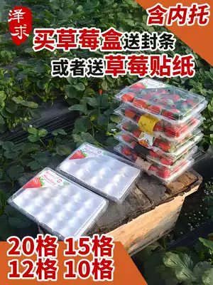 Disposable strawberry box Express foam with fruit box portable high-grade special disposable strawberry packaging box