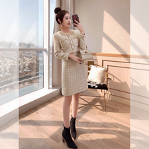 High-cold Fan Dress Temperament ol Ocean Gas Dresses 2022 New Spring Dress Bag Hip Skirt style fur one-piece dress