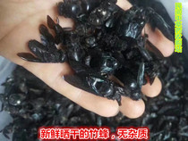 Wild Chinese herbal medicine Bamboo Bee Bamboo Bee Bamboo Hornets Bee Birds Hummingbird Bee flute Division Remain