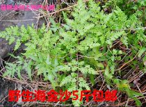 Guangxi Chinese herbal medicine wild sea golden sand rattan left rattan vines vines vines vines 2017 New goods dried goods