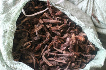 Wild Chinese herbal medicine Bone Chopped Ginger Ginger stone Mao ginger Ginger Hair Ginger Sliced Dry Goods