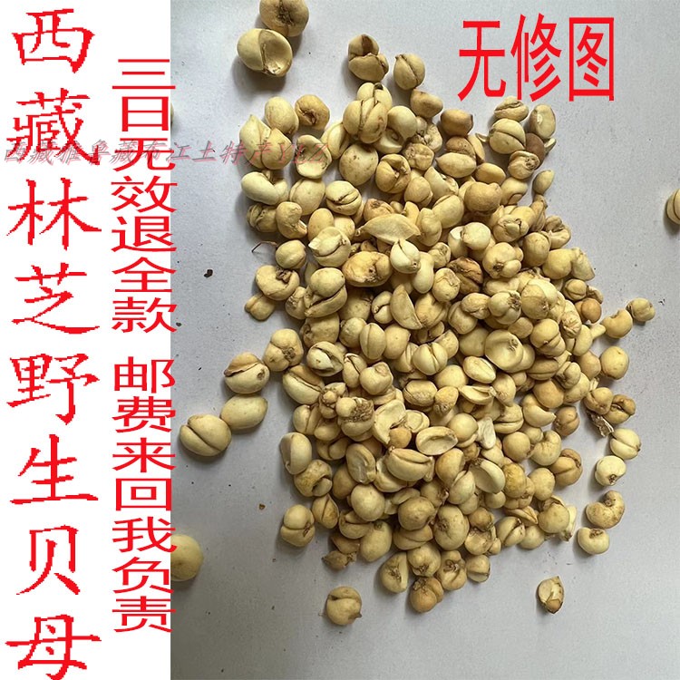 No use up to back 50 gr 3rd invalid withdrawal of all the Tibet pure natural fritillaries Tibetan Beichuan Fritillaria-Taobao