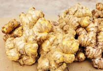 Small turmeric ginger Yunnan Luoping soil ginger moon turmeric ginger ginger fresh ginger 500g Shanghai delivery