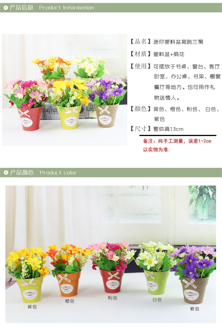Mô phỏng hoa mini chậu hoa đồng tiền trang trí nội thất phòng khách trong nhà hoa khô hoa giả hoa nhựa với chậu - Hoa nhân tạo / Cây / Trái cây hoa giả hạc