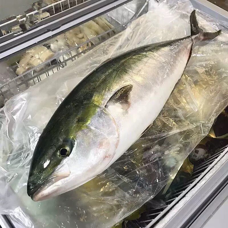 新鲜直达!黄鰤鱼刺身,8斤北京闪送 ¥84 💣🐟-弓-淘宝好物网