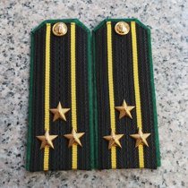 The Russian Federal Security Service Border Force Naval Colonels épaule badge