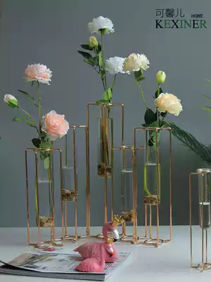Nordic light luxury test tube vase flower arrangement hydroponic plant transparent glass modern simple flowerpot creative combo flower Ware