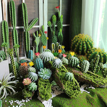 ins emulated balls fake cacti small potted multimeat tabletop flower pots adorned with green plants small pendulum pieces
