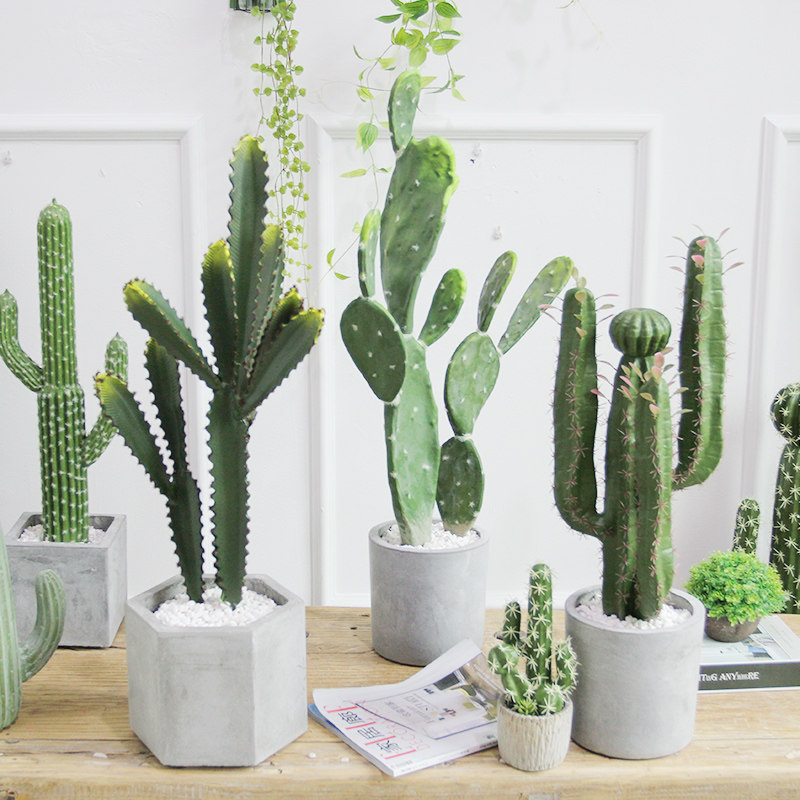 Nordic simulation cactus potted ornaments fake tropical green plants living room Internet cafe window creative decoration photo props