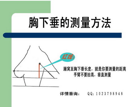 Body AIPTT en coton - Ref 650318 Image 16